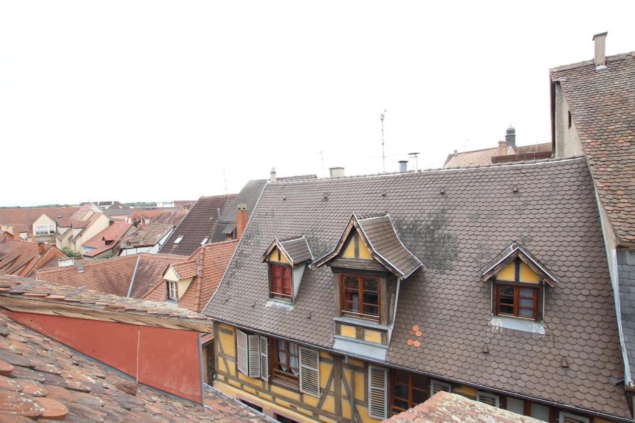 Colmar City Center - Appartement Petit Ours - Bookingalsace 外观 照片